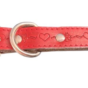 Red Dog Collar